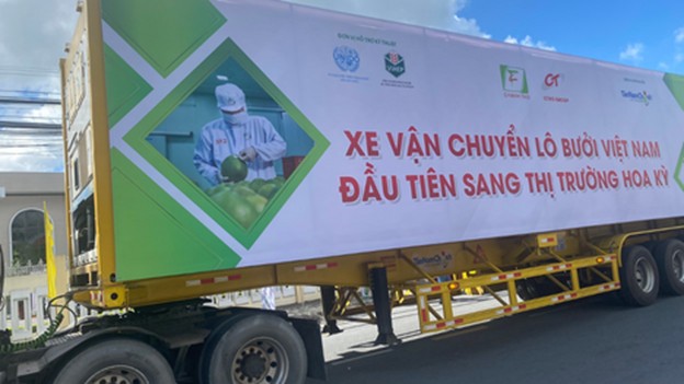 Xuất khẩu lô bưởi đầu tiên sang Hoa Kỳ